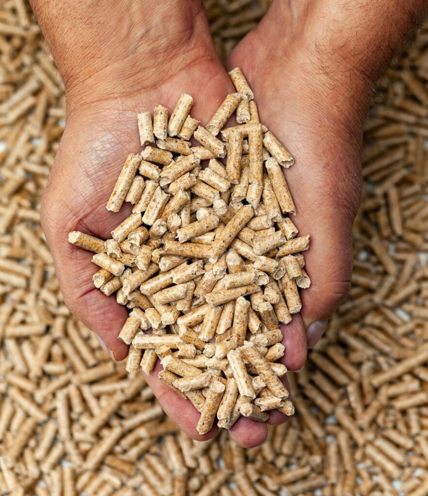 Wood pellets in hands.